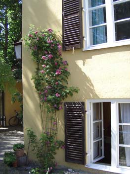 Gesichter SS07 008