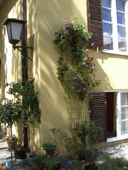 Gesichter SS07 010