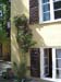 Gesichter SS07 008